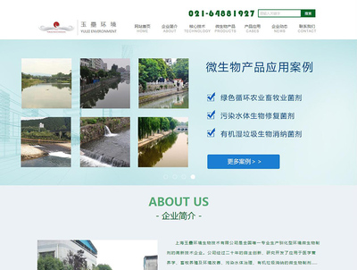 玉凰集团网站建设案例 打造松江企业数字化转型新标杆