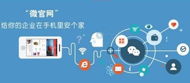 上海网站建设 手机站与微网站的区别 回声网络